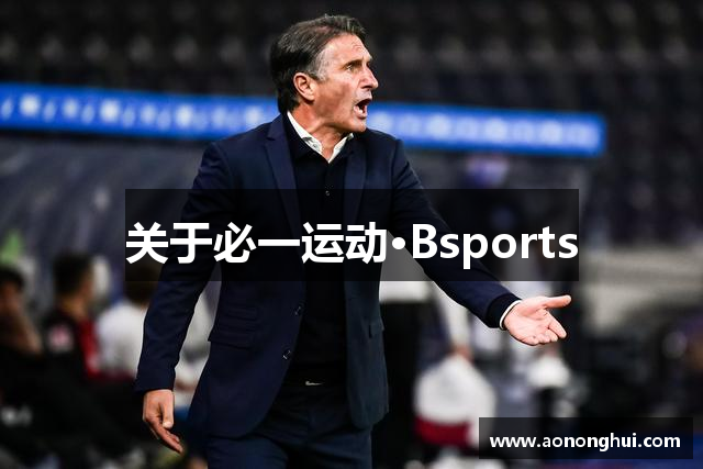 关于必一运动·Bsports